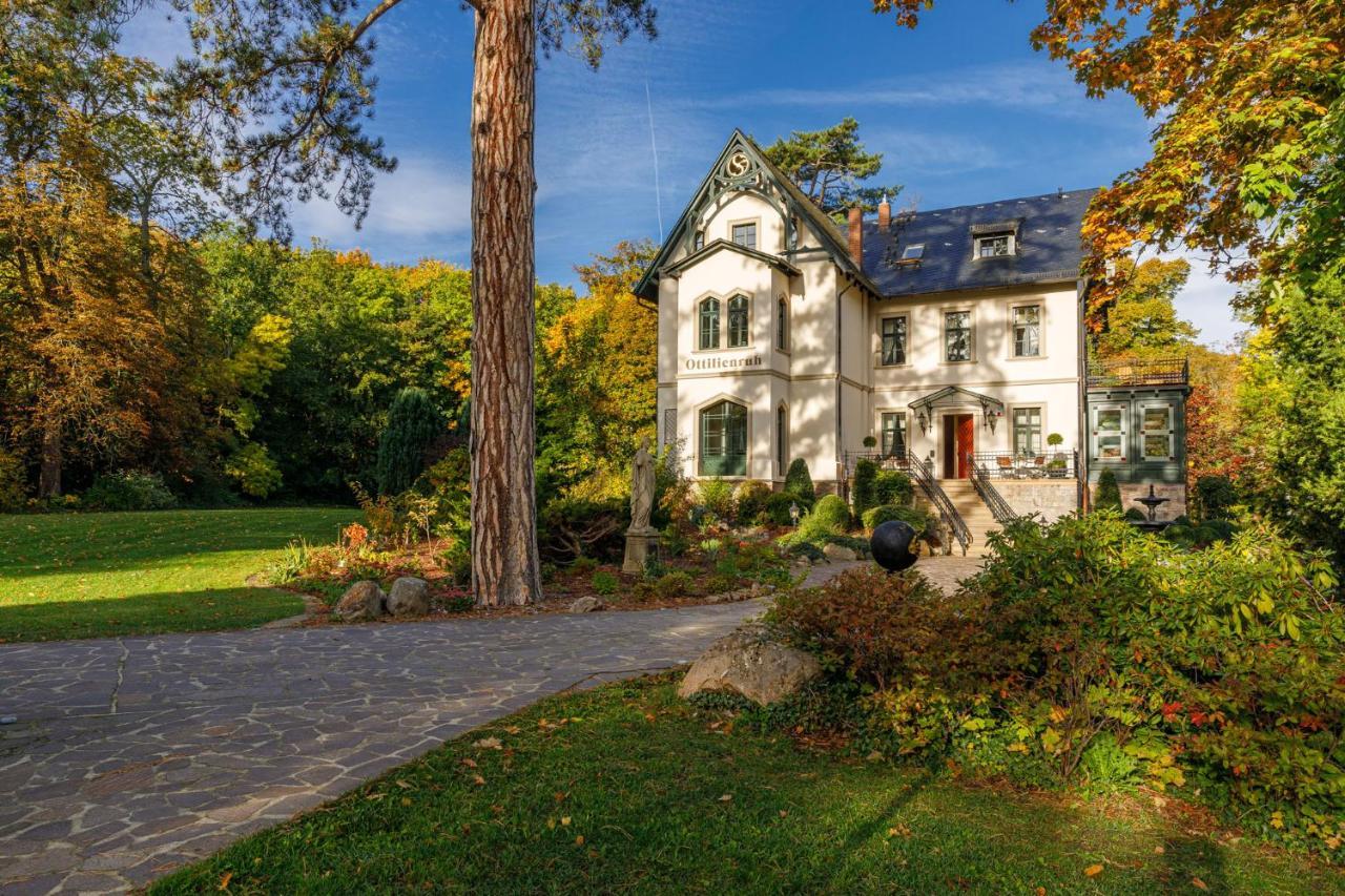 Luxus Design Ottilienruh Im Harz Lejlighed *